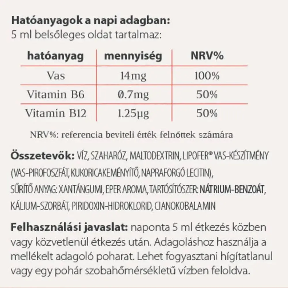 Vitaking Vitafer Iron Syrup (120 ml) - Imagen 2